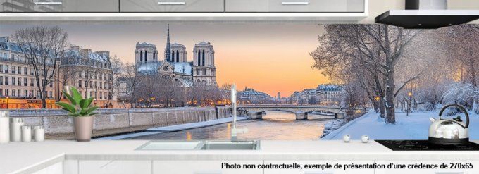 credence PARIS SNOW